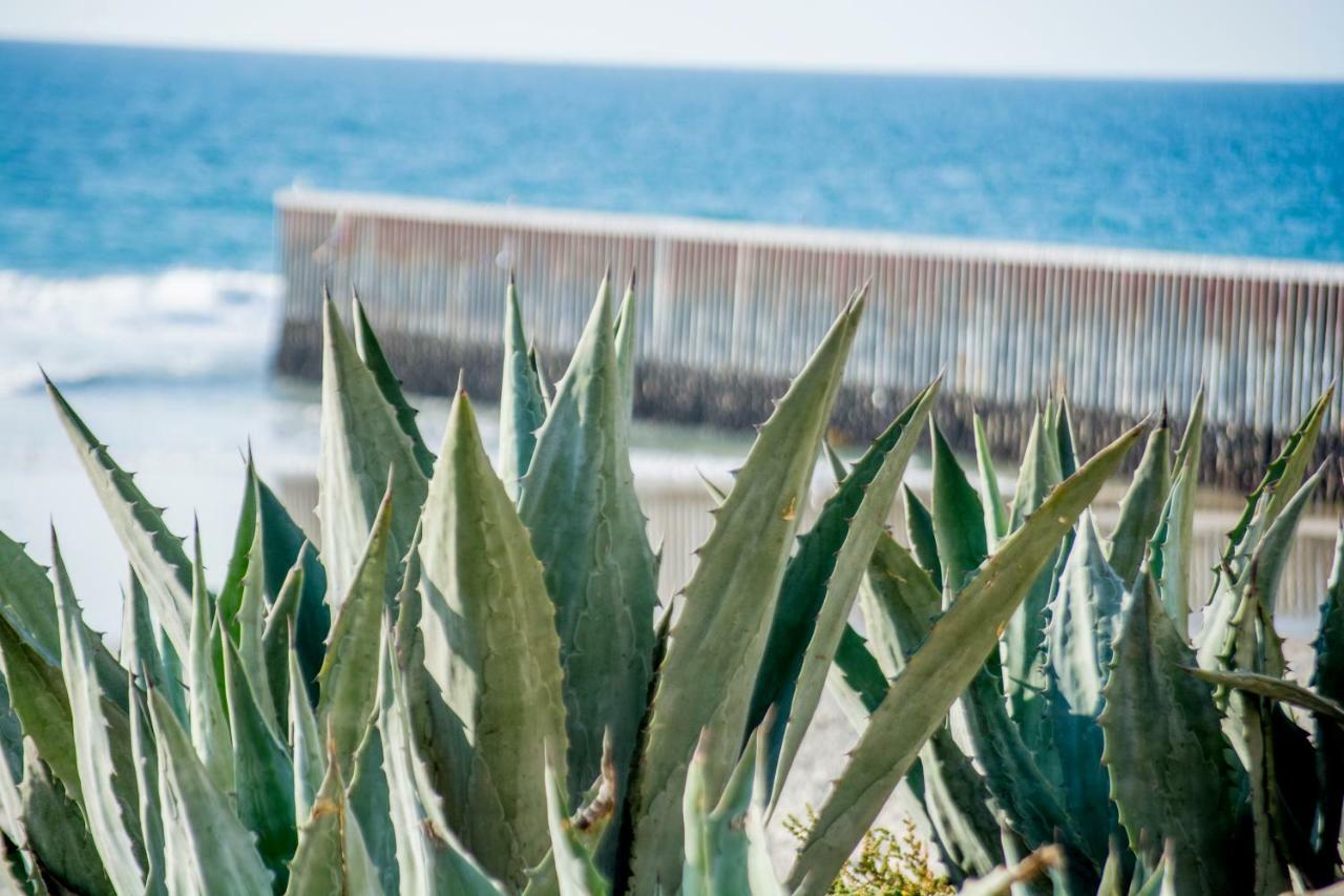 Beachfront Cozy 1 Bdr ティファナ エクステリア 写真